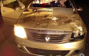 Водителя автомобиля Renault госпитализировали
