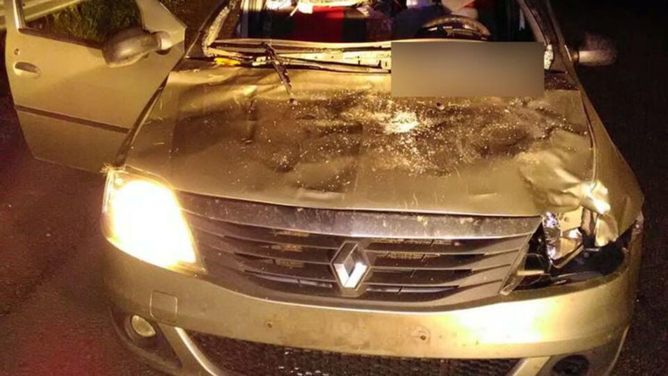 Водителя автомобиля Renault госпитализировали