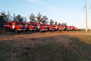 Лісову пожежу в Херсонській області продовжують гасити