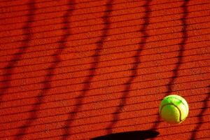 Найкращим показником українця в рейтингу ATP було 463-тє місце у 2015 році