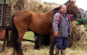 У Пучковського є кілька коней