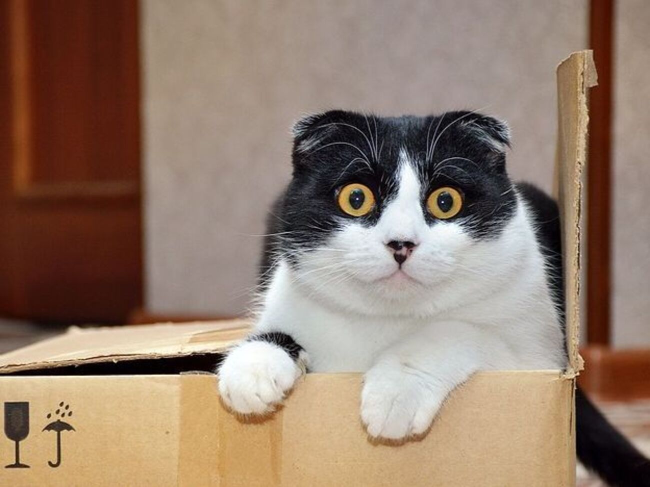 Переезд желательно планировать заранее