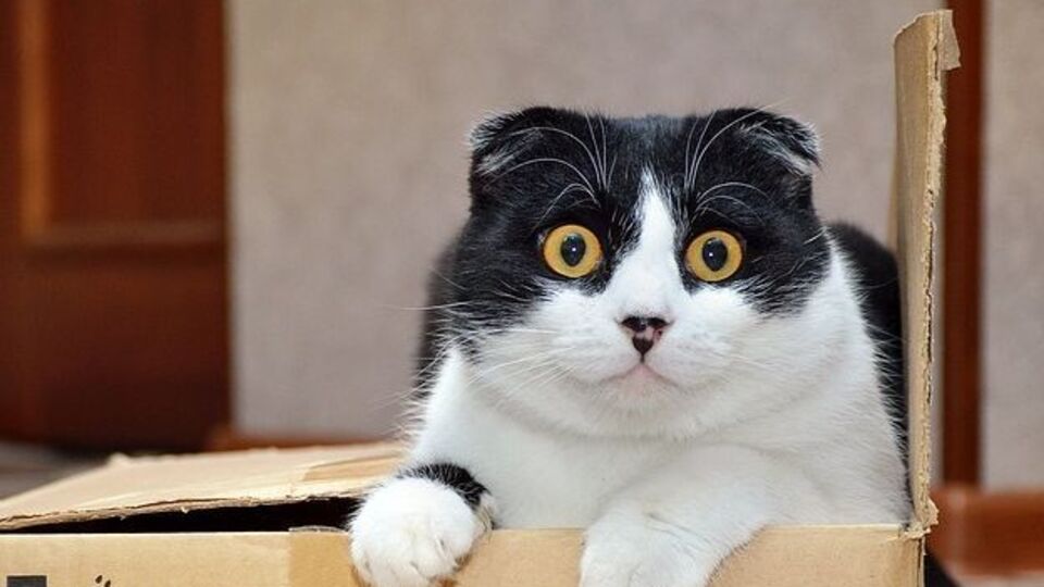 Переезд желательно планировать заранее