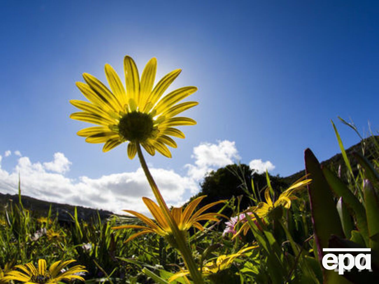 С июня по август 2018 года в Украине ожидается жаркая погода с превышением температурной нормы