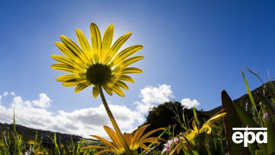 С июня по август 2018 года в Украине ожидается жаркая погода с превышением температурной нормы