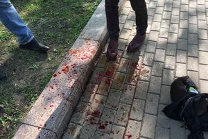 Последствия нападения "казака" на фотографа