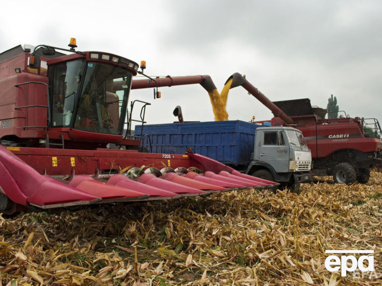 Ціна оренди землі в Україні &ndash; низька, а якість грунту &ndash; одна з найкращих у світі, пише Bloomberg