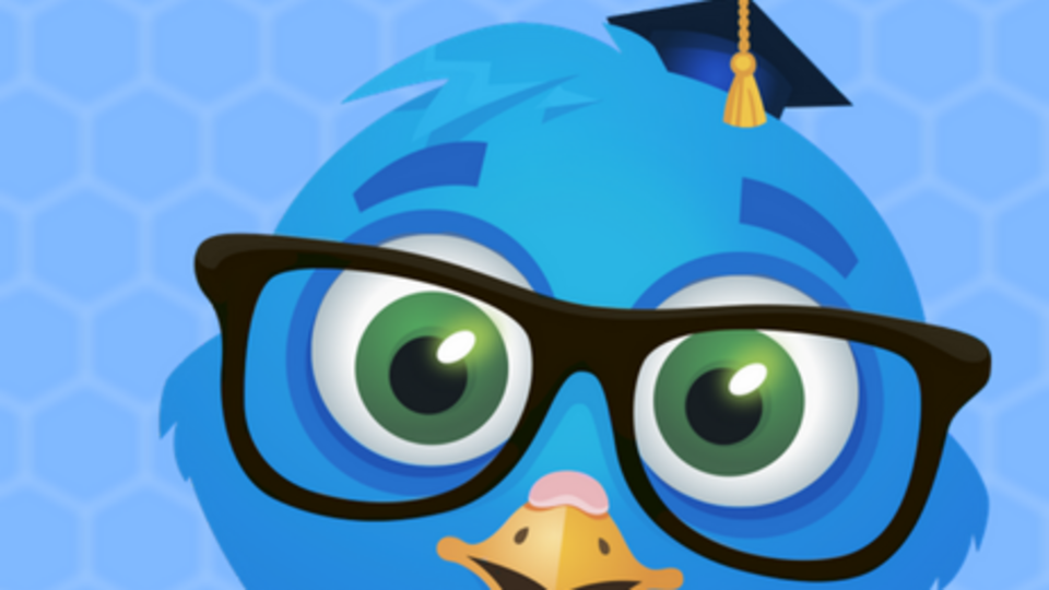 У EduBirdie заявили, що їхні реферати варто використовувати як довідковий матеріал
