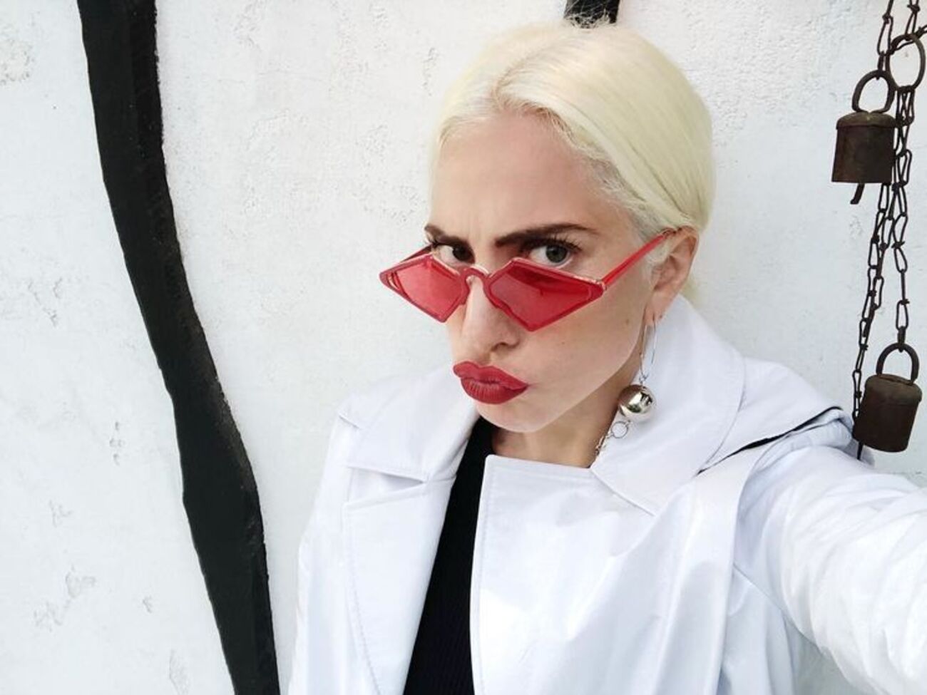 Леди Гага поделилась личными снимками