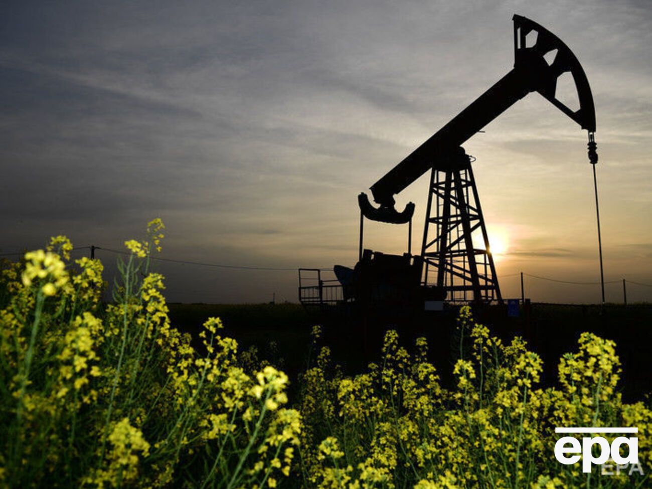 Цены на нефть выросли