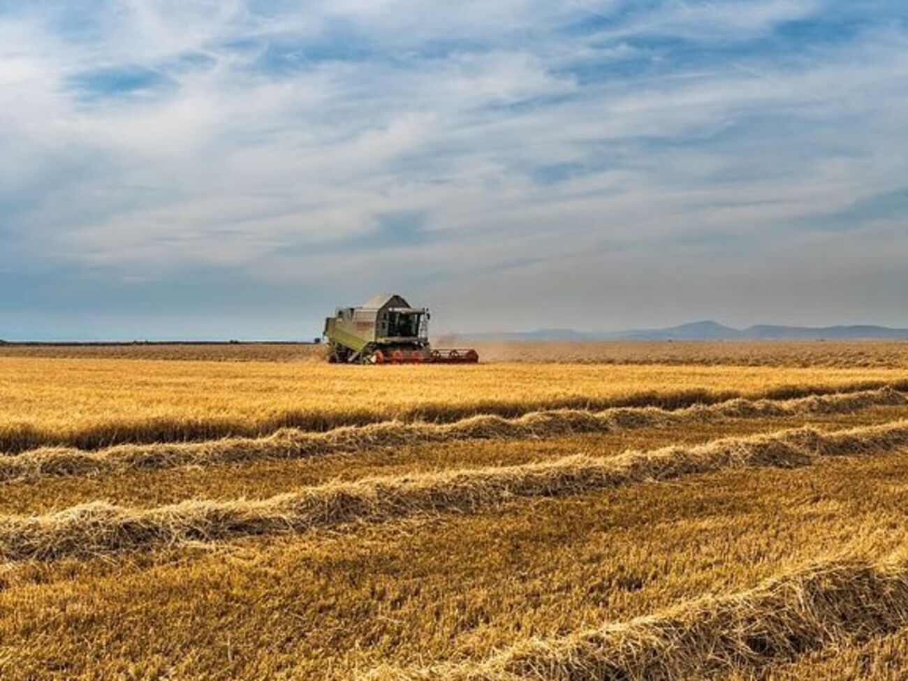 Николенко: Через семь лет аренды фермеры смогут выкупить землю, но не смогут продать, если не снимут мораторий. То есть все равно будет нарушено право человека распоряжаться частной собственностью