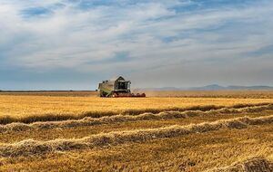 Николенко: Через семь лет аренды фермеры смогут выкупить землю, но не смогут продать, если не снимут мораторий. То есть все равно будет нарушено право человека распоряжаться частной собственностью