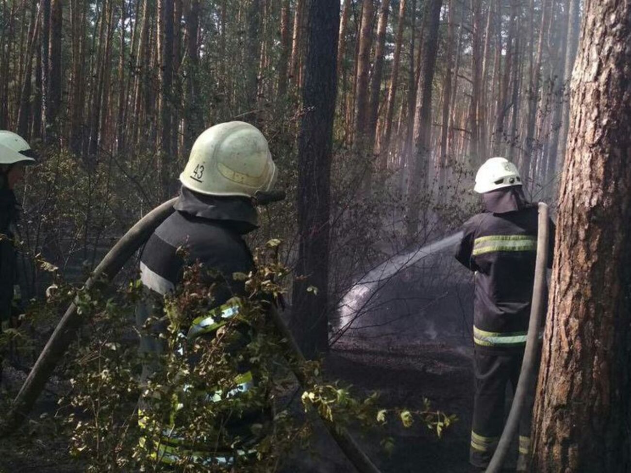 Рятувальники продовжують роботи для ліквідації пожежі