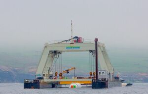 Тестирование продлится 12 месяцев