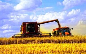 В Украине началась уборка ранних зерновых