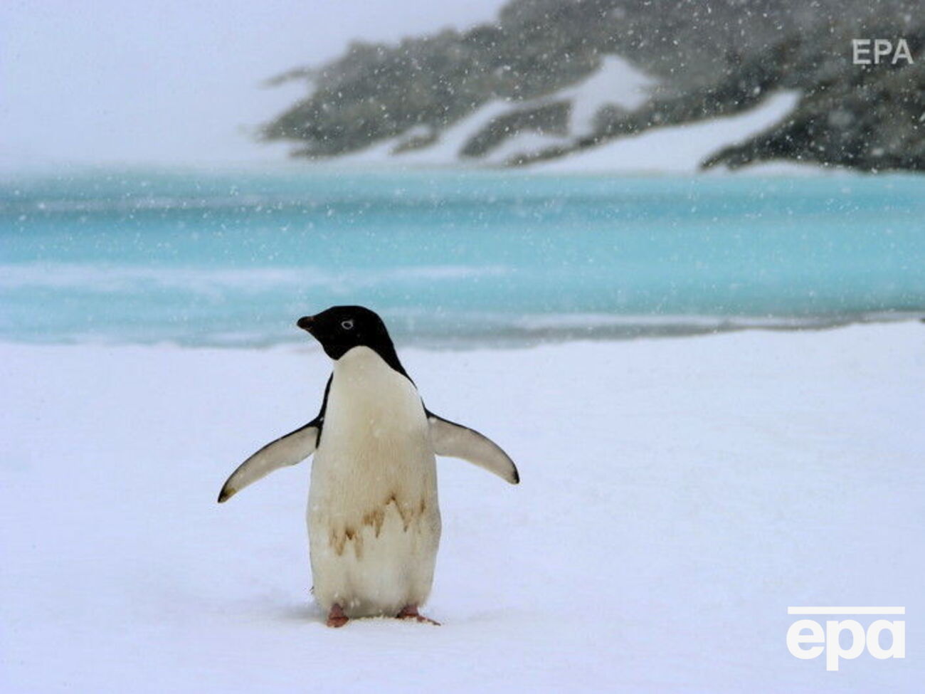 Протягом п'яти років танення льодовиків у Антарктиді прискорилося утричі