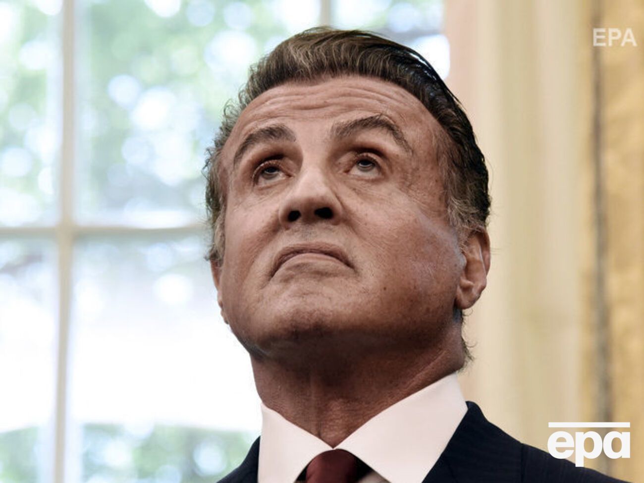 Сталлоне обвинения в свой адрес отрицает