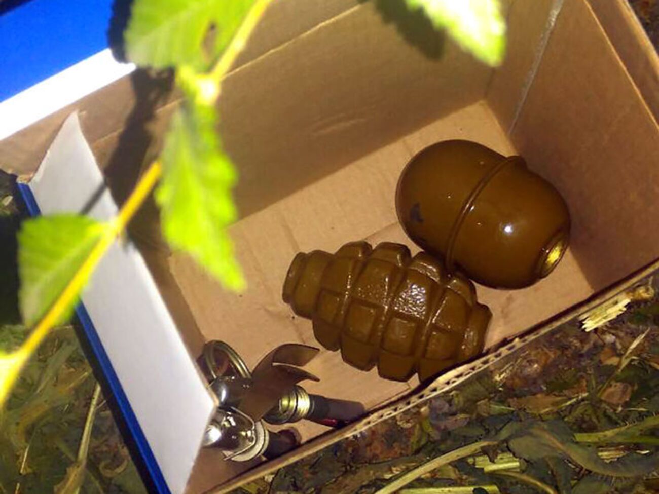 Охоронець військового комісаріату виявив коробку, в якій містилися корпуси гранат