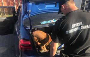 На подозрительный автомобиль среагировала служебная собака