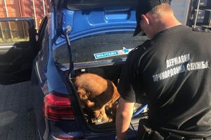 На підозрілий автомобіль зреагував службовий собака