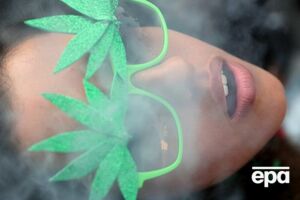 Совершеннолетние канадцы смогут покупать, хранить и выращивать марихуану