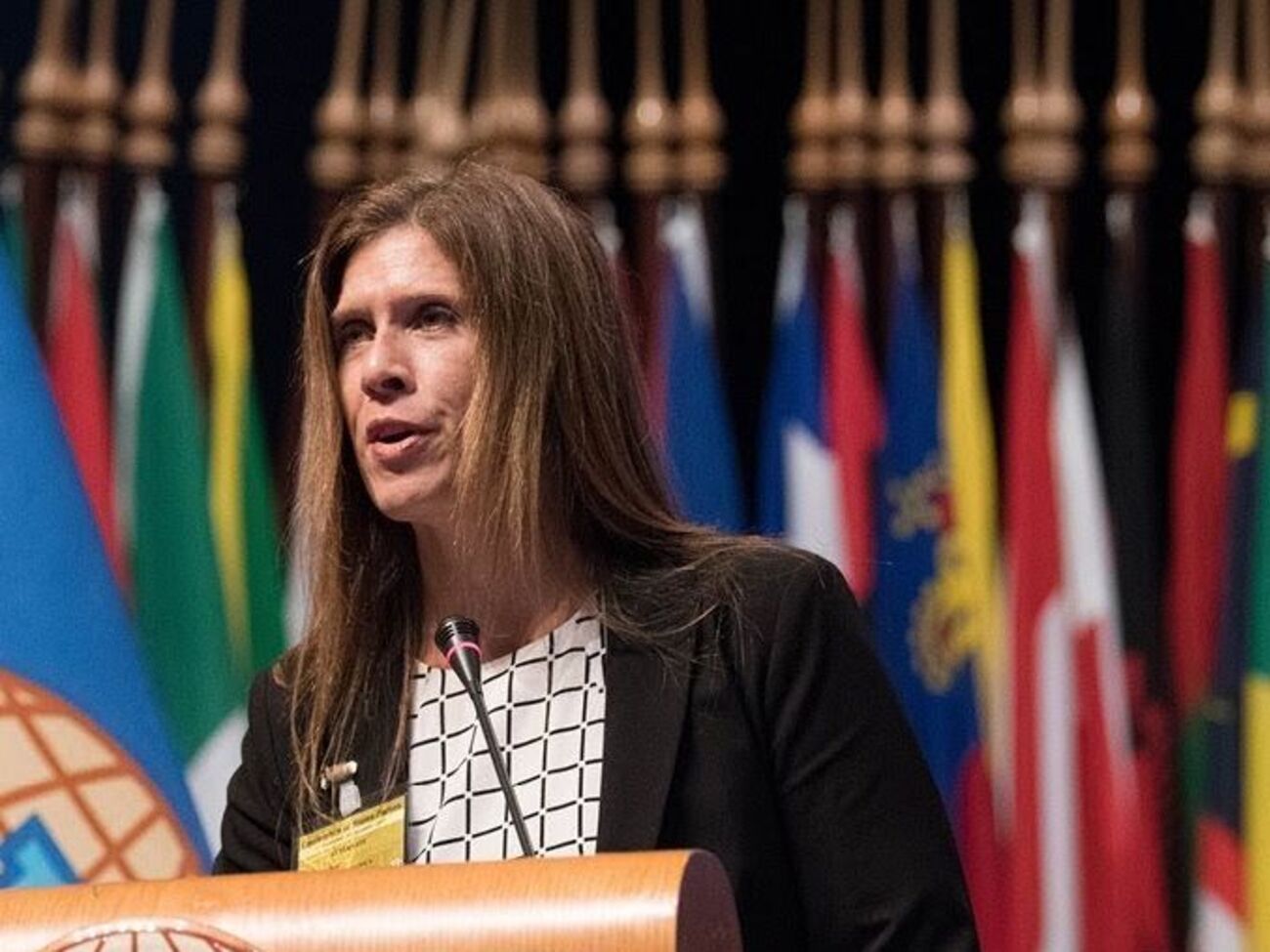 Холл возглавляла межведомственную группу по денуклеаризации Северной Кореи