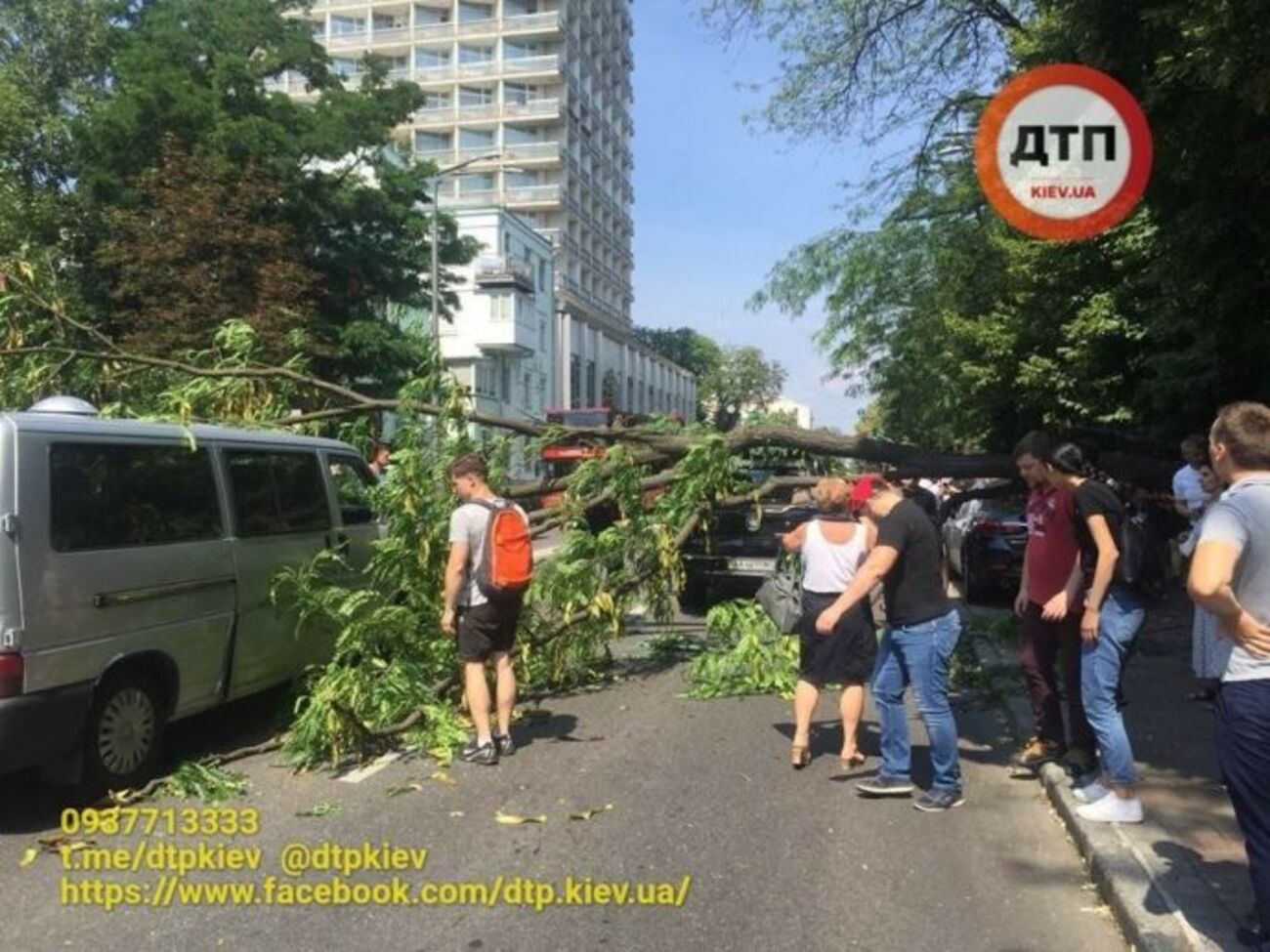 Дерево впало на три автомобілі