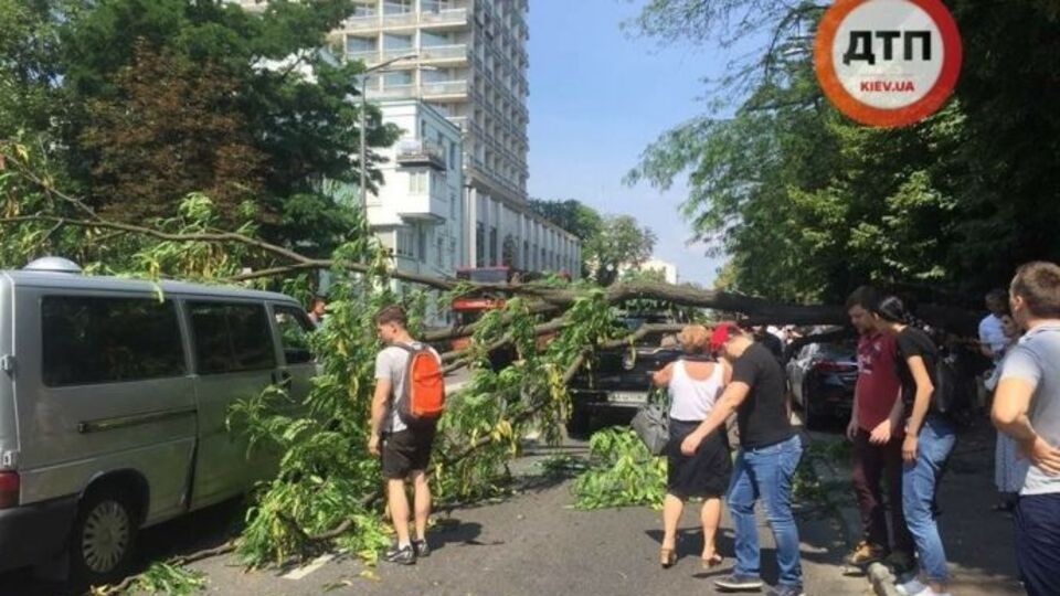 Дерево впало на три автомобілі