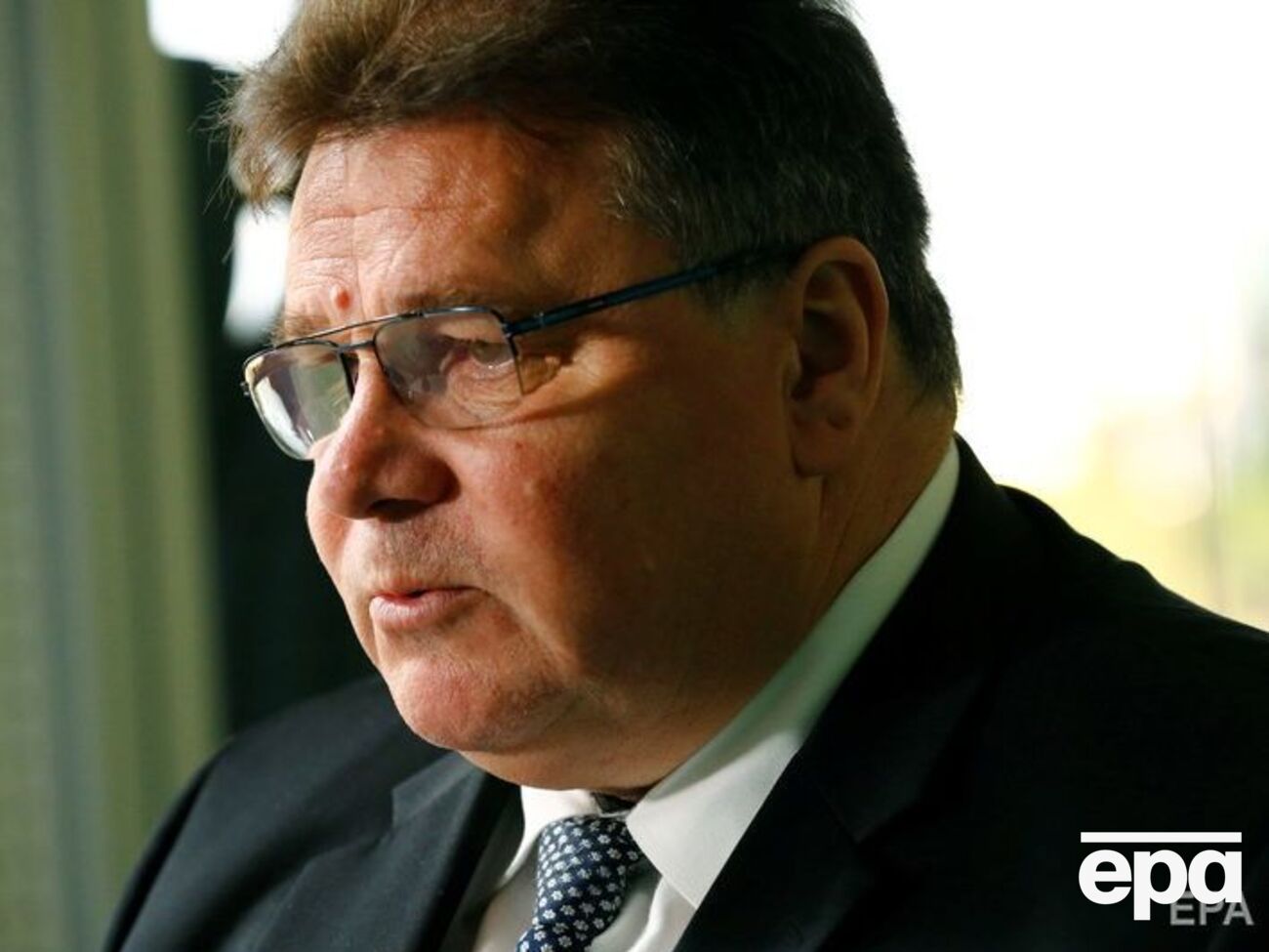 Лінкявічюс &ndash; народу України: Вашу боротьбу проти агресора не забуто