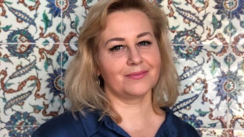 Сарган: Сначала в Раде "оптимисты перемен" принимают законы, а потом удивляются их выполнению