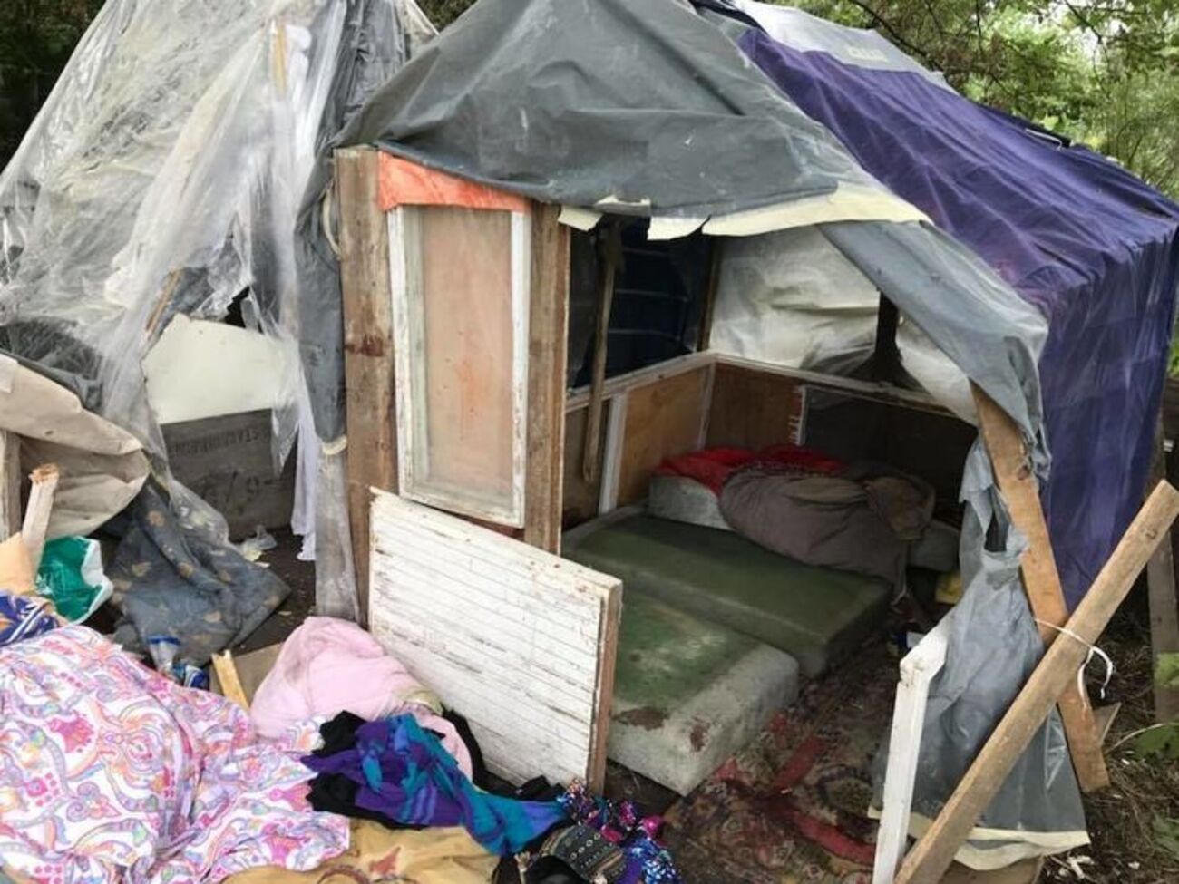 Полиция не знала о лагере ромов в лесу на окраине Львова