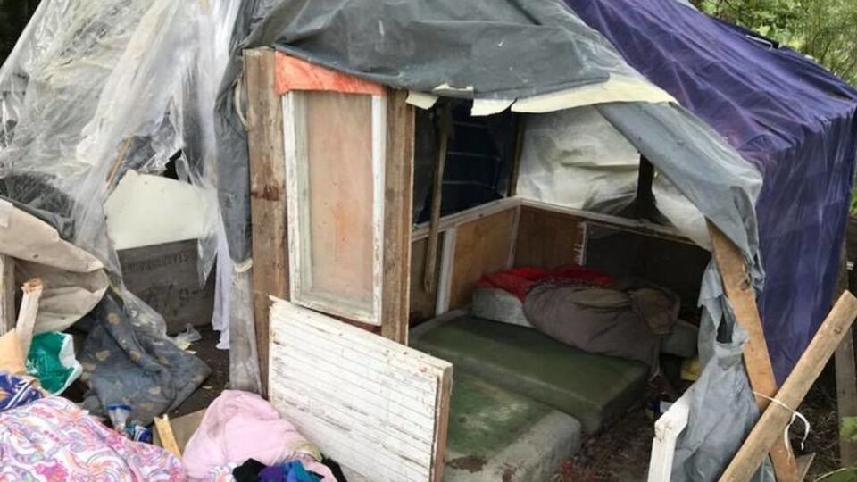 Поліція не знала про табір ромів у лісі на околиці Львова