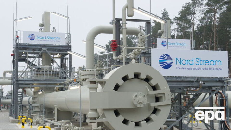 В Euronest считают, что "Северный поток – 2" негативно влияет на диверсификацию энергопоставок