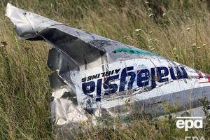 Малайзійський Boeing збили у 2014 році