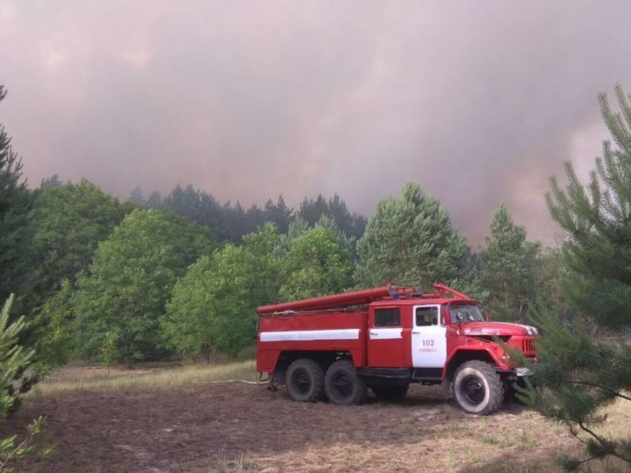 Огонь перебросился на лесные насаждения