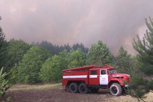 Огонь перебросился на лесные насаждения