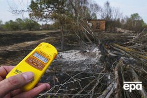 В отдельных районах горящего леса радиационный фон повышен, заявили в ГСЧС