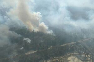 Під Чорнобилем горить ліс. Фоторепортаж