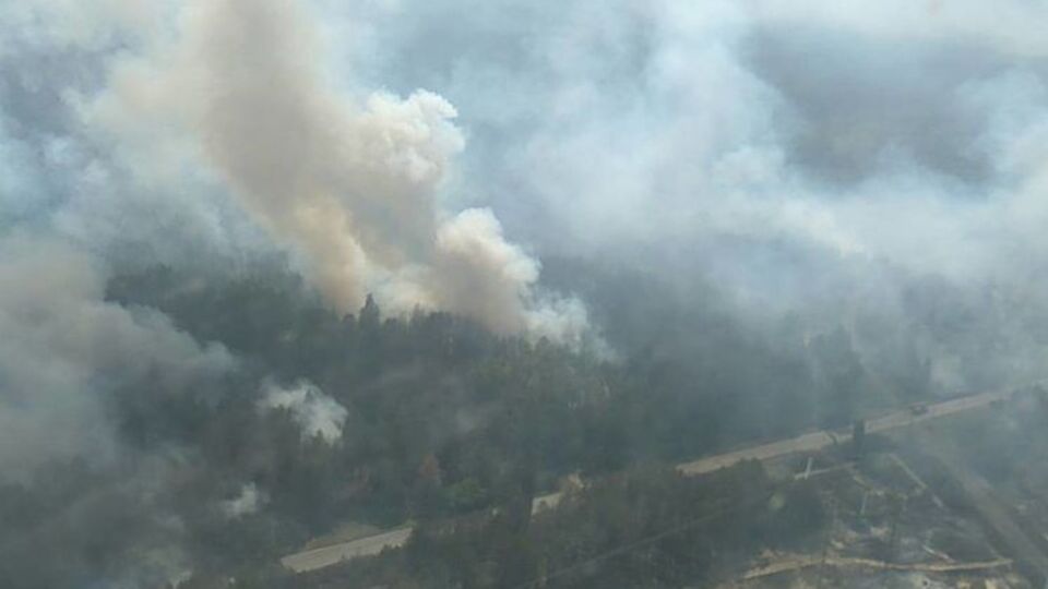Під Чорнобилем горить ліс. Фоторепортаж
