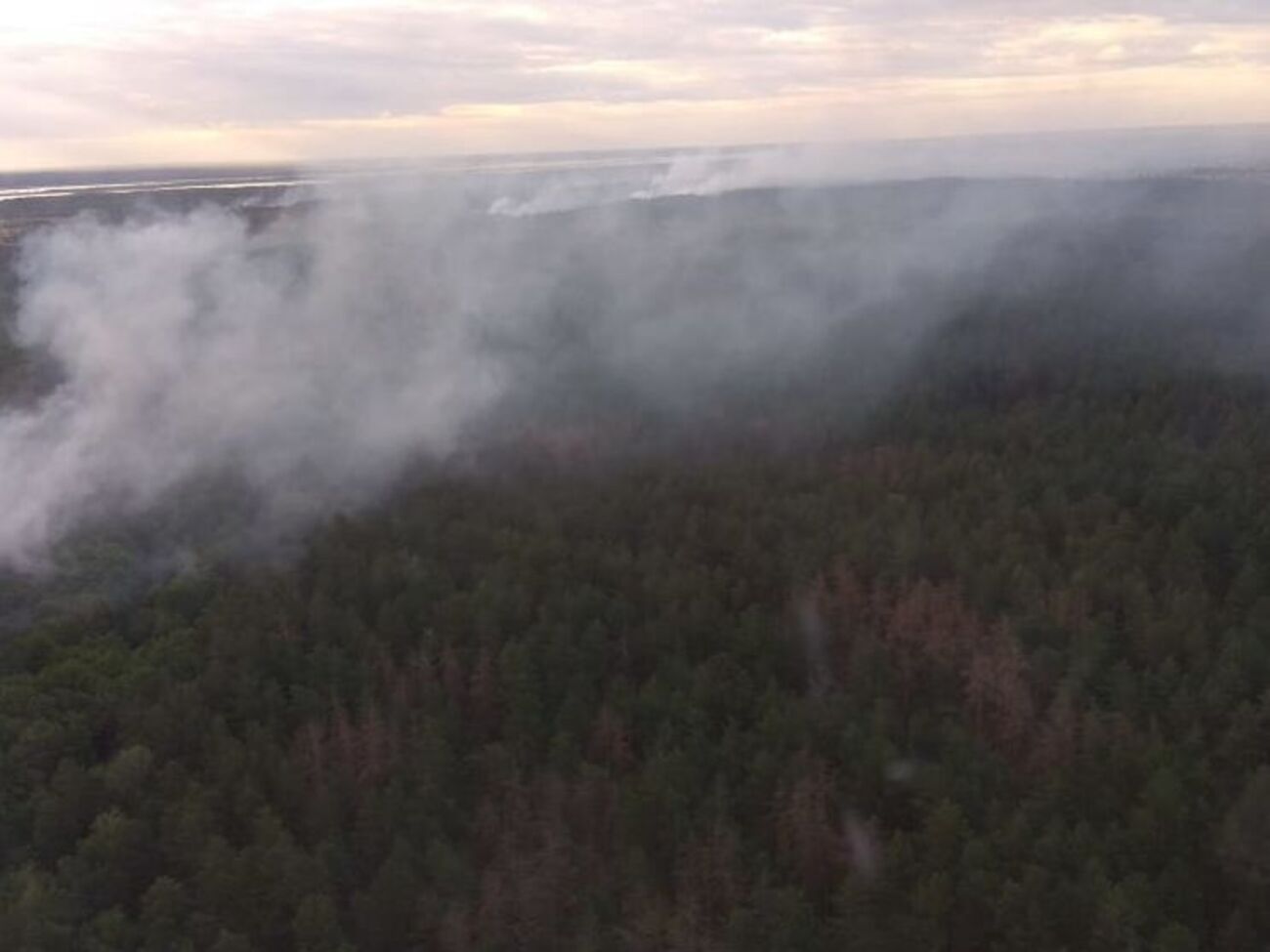 Площадь пожара составляет около 5 га