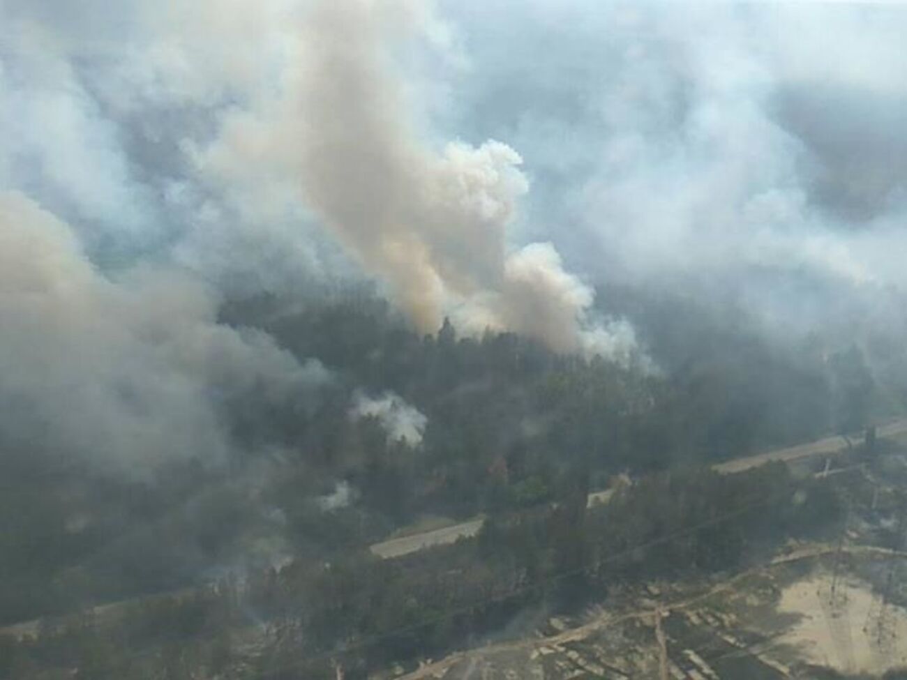 Полиция расследует возгорание леса в Чернобыльской зоне