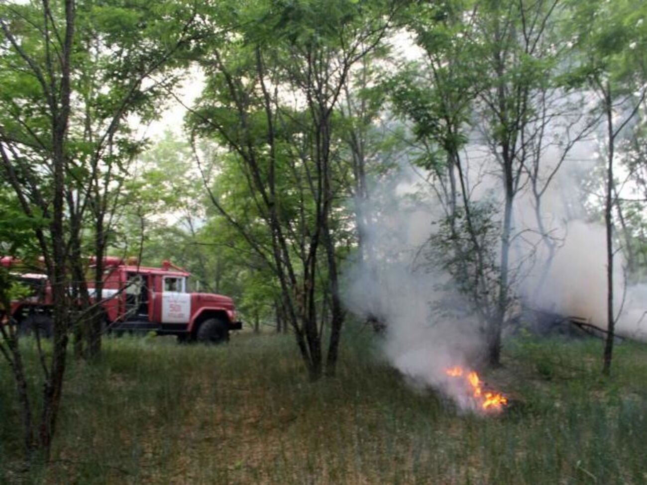Пожежа в зоні відчуження почалася 5 червня