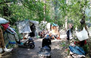 Работников лесопарка на захваченную территорию ромы не допускают