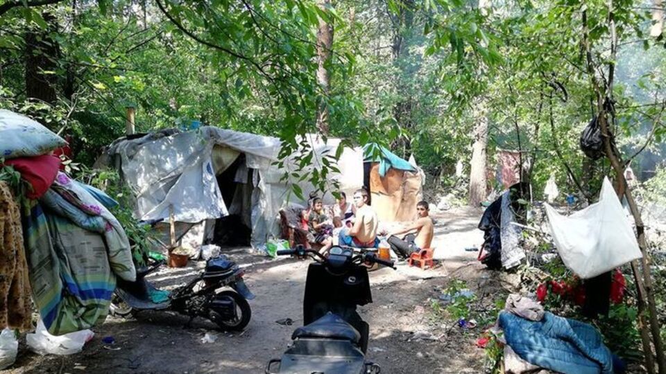 Работников лесопарка на захваченную территорию ромы не допускают