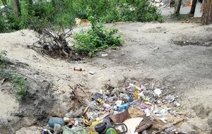 Около 50 ромов ушли из Голосеевского парка Киева