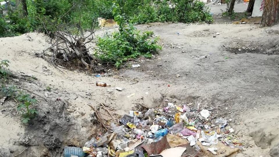 Приблизно 50 ромів пішло з Голосіївського парку Києва