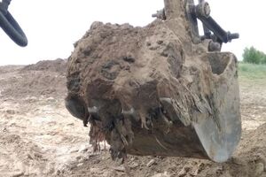 Затриманого бізнесмена підозрюють у створенні могильника у Київській області