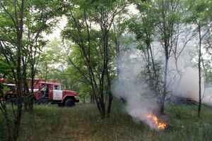 Пожар тушили 50 человек личного состава