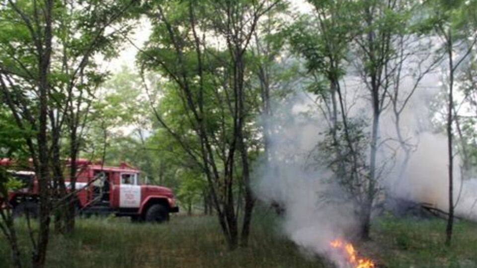 Пожар тушили 50 человек личного состава