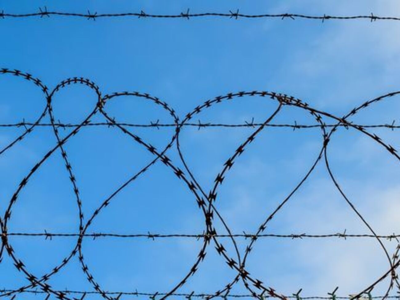 В администрации тюрьмы утверждают, что в ходе проверок сотрудники учреждения не нарушали никаких существующих норм и правил обращения с заключенными